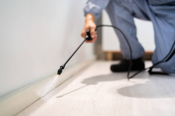 Licensed Termite Control service in Bartlett, TX - Nex Pest Control