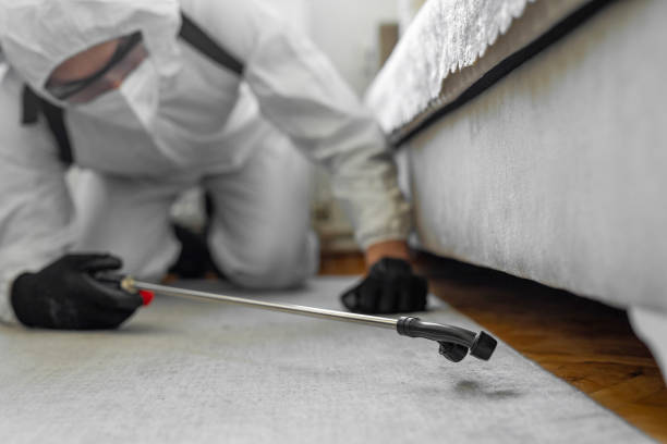 Professional Termite Control technician working in Bartlett, TX