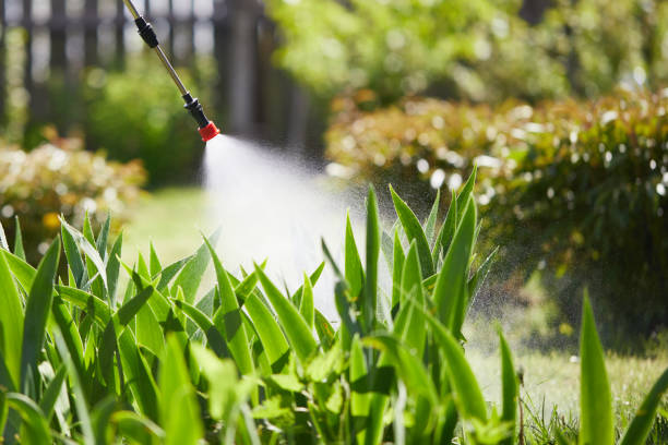 24/7 Emergency Termite Control experts in Bartlett, TX