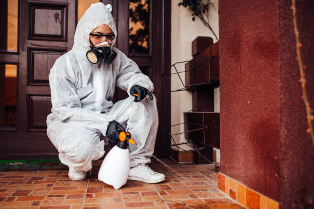 Reliable Termite Control contractor in Bartlett, TX by Nex Pest Control